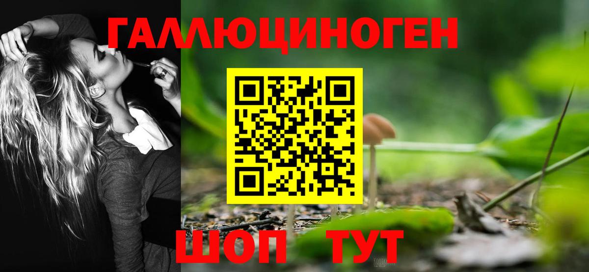 Галлюциногенные грибы Cubensis  Вход с VPN  Санкт-Петербург 