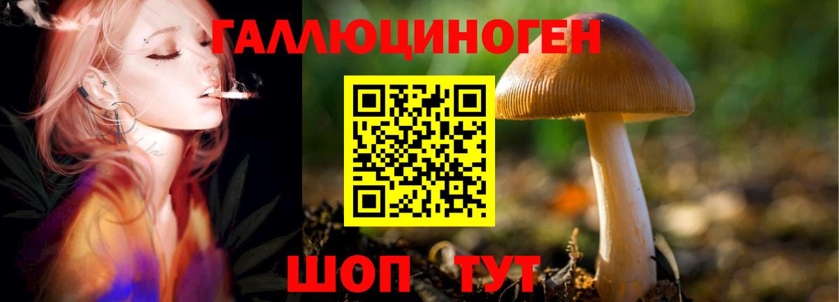 Галлюциногенные грибы прущие грибы Санкт-Петербург